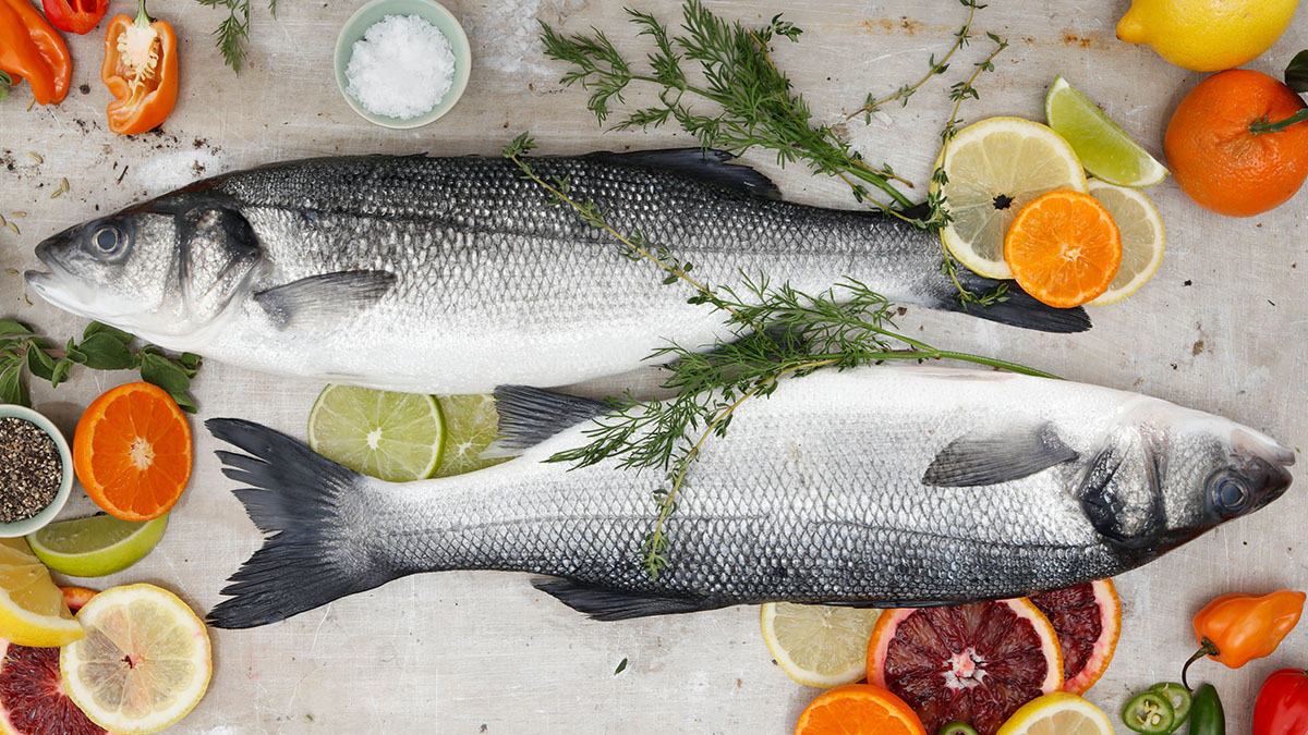 Sea Bass